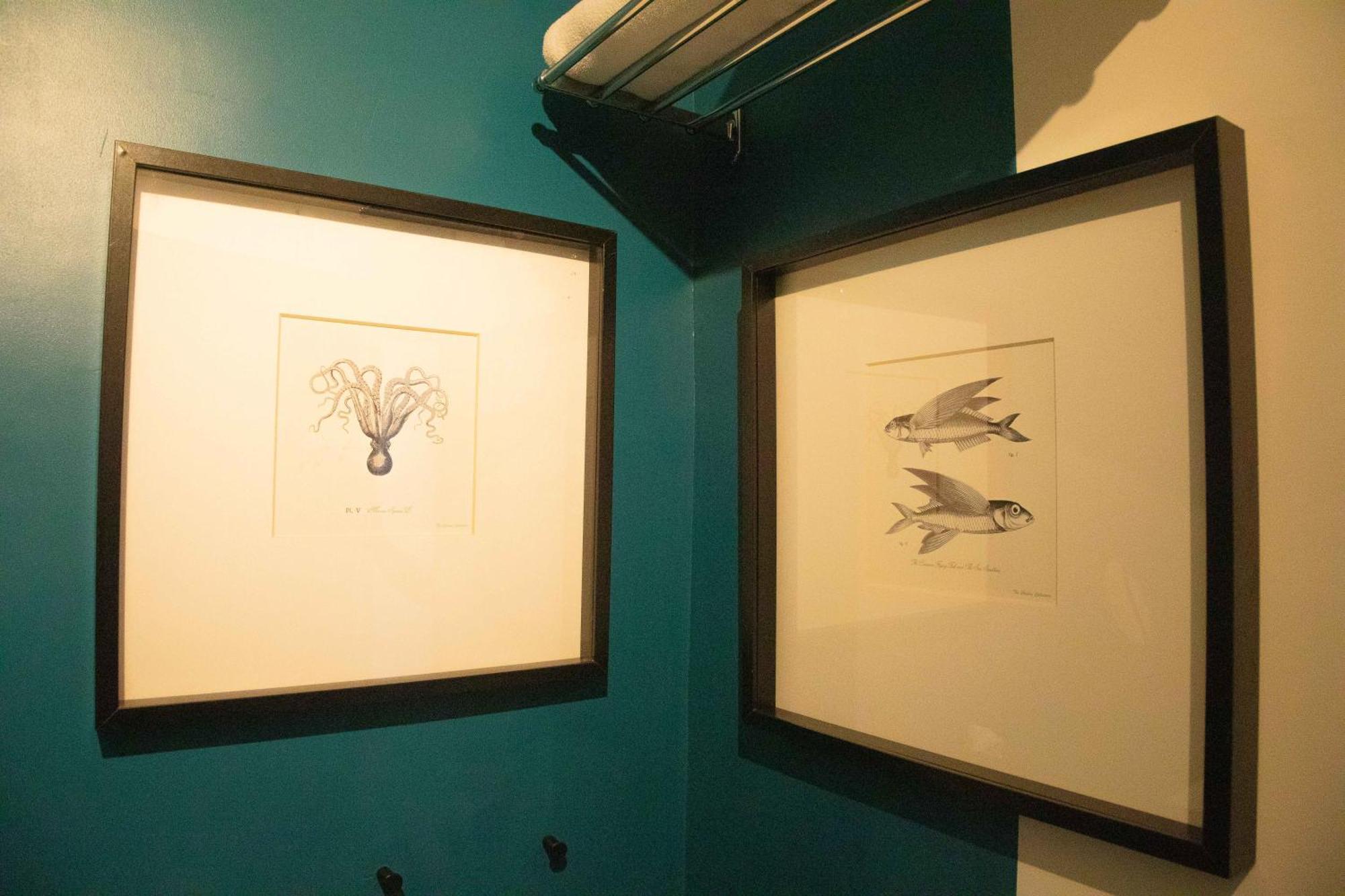 Appartement Cosy Vue Mer Face Nausica ブローニュ・シュル・メール エクステリア 写真
